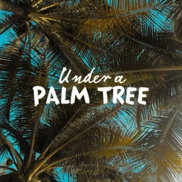 Under A Palm Tree