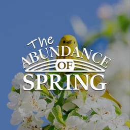 The Abundance Of Spring