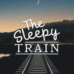 A Sleepy Train Journey
