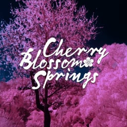 Cherry Blossom Springs