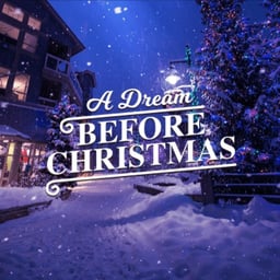 A Dream Before Christmas