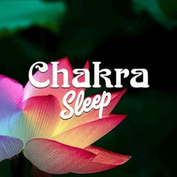 Chakra Sleep