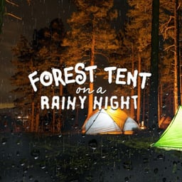 Forest Tent On A Rainy Night