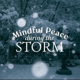 Mindful Peace During The Storm