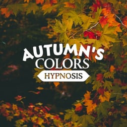 Autumn’s Colours