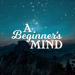 The Beginner's Mind