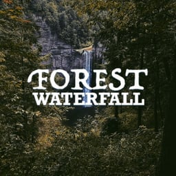 Forest Waterfall