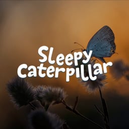 The Sleepy Caterpillar