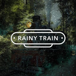 Rainy Train