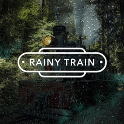 Rainy Train