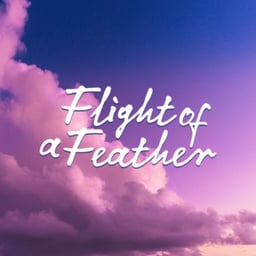 Flight Of A Feather