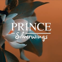 Prince Silver Wings
