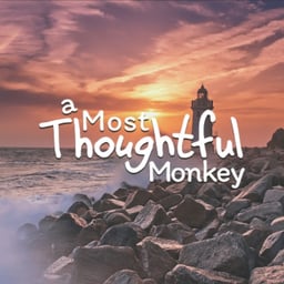 A Most Thoughtful Monkey