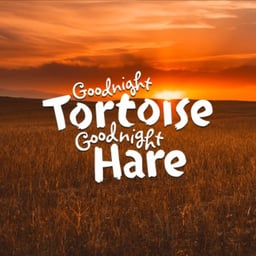 Goodnight Tortoise Goodnight Hare