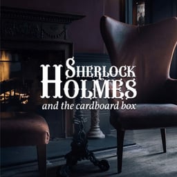 Sherlock Holmes And The Cardboard Box