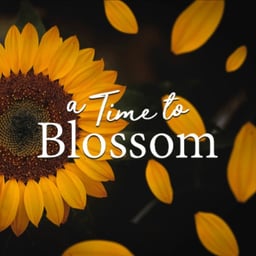 A Time To Blossom