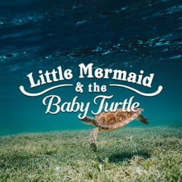 The Little Mermaid & The Baby Turtle