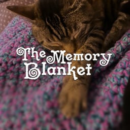 The Memory Blanket