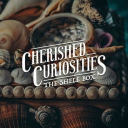 Cherished Curiosities: The Shell Box