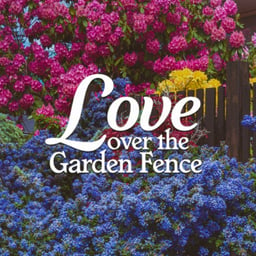 Love Over The Garden Fence