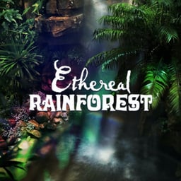 Ethereal Rainforest