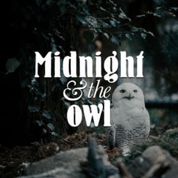 Midnight & The Owl