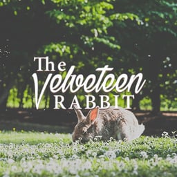 The Velveteen Rabbit