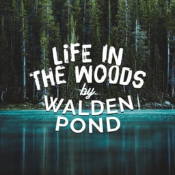 Life In The Woods By Walden Pond