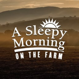 A Sleepy Morning On The Farm