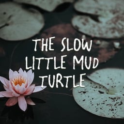 The Slow Little Mud Turtle