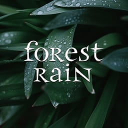 Forest Rain