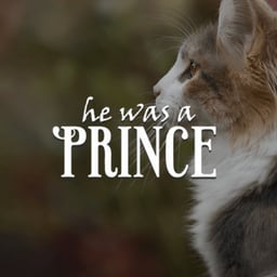 He Was A Prince