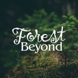 The Forest Beyond The Woodlands