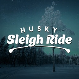 A Husky Sleigh Ride