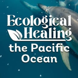 Ecological Healing: The Pacific Ocean