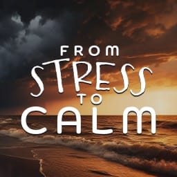 From Stress To Calm 