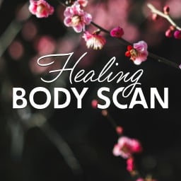 Healing Body Scan