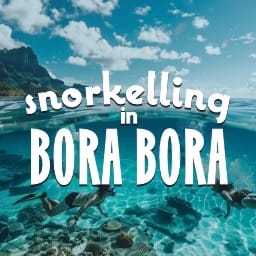Snorkelling In Bora Bora