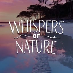 Whispers Of Nature