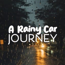 A Rainy Car Journey