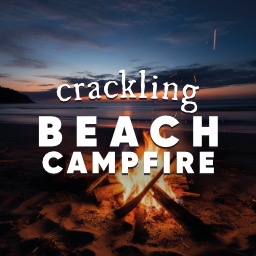 Crackling Beach Campfire