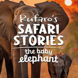Rufaro's Safari Stories: The Baby Elephant