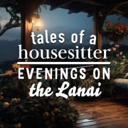 Tales Of A Housesitter: Evenings on the Lanai