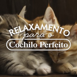 Relaxamento para o Cochilo Perfeito
