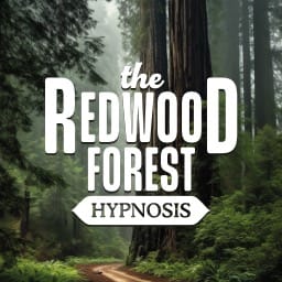 The Redwood Forest