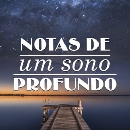 Notas de um sono profundo
