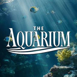 The Aquarium