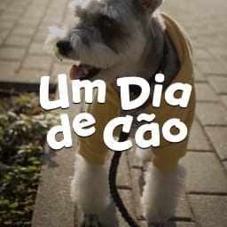 Um Dia de Cão