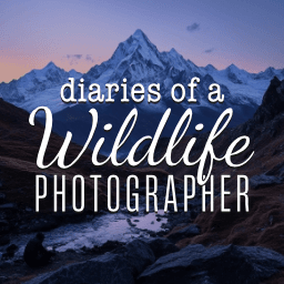 Diaries of A Wildlife Photographer