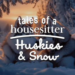 Tales of A Housesitter: Huskies & Snow